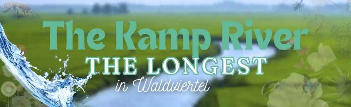 Langenlois Kamp River Banner