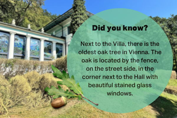 The exterior of the Otto Wagner Villa with a fact about Vienna's oldest oak tree, located next to the villa near the Hall with stained glass windows.