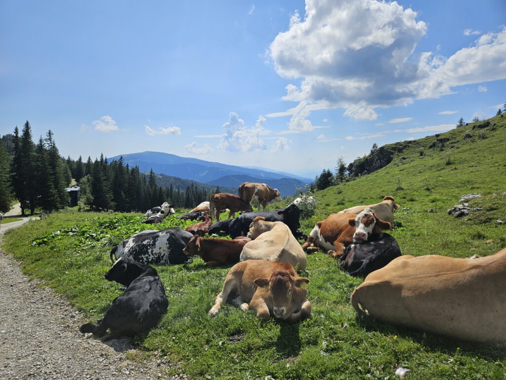 Semmering