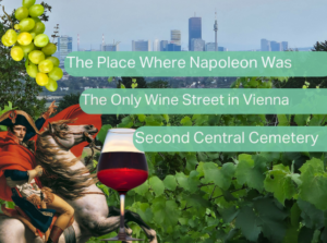 A collage depicting Napoleon, a glass of red wine, and grapevines with Vienna’s skyline in the background, highlighting Stammersdorf as the place where Napoleon was, the only wine street in Vienna, and the location of the second Central Cemetery.