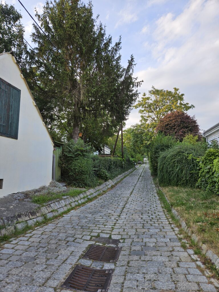 A peaceful cobblestone lane in Stammersdorf, lined with greenery and traditional houses, reflecting the serene atmosphere of this historic neighborhood.