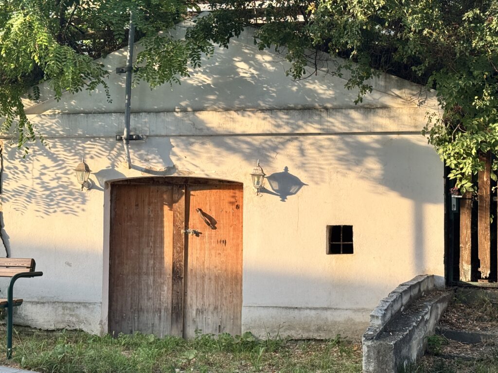 A traditional wine cellar with wooden doors in Stammersdorf, Vienna, bathed in warm sunlight and surrounded by greenery.