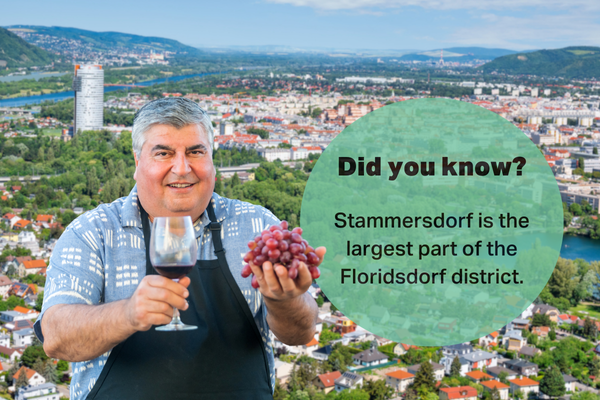 A cheerful man holding grapes and a glass of wine with a view of Stammersdorf and the Floridsdorf district in the background, highlighting that Stammersdorf is the largest part of the Floridsdorf district.