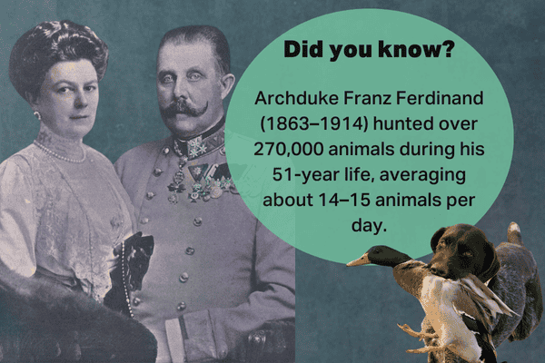 Archduke Franz Ferdinand hunted over 270,000 animals in his lifetime, averaging 14–15 per day