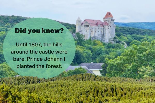 A view of Lichtenstein Castle surrounded by forest, near Vienna. The forest was planted by Prince Johann I in 1807.