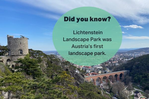 A panoramic view from Lichtenstein Landscape Park, overlooking the town of Baden, near Lichtenstein Castle in Austria.