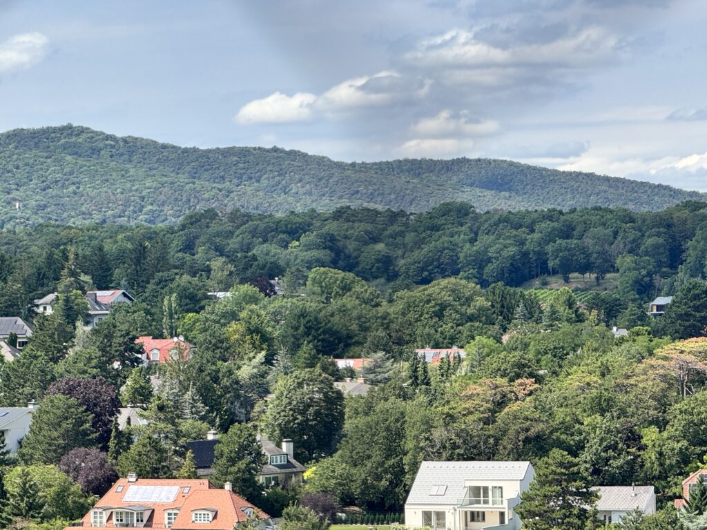 A scenic view of the hills and countryside surrounding Burg Lichtenstein, with trees and residential houses in the foreground.