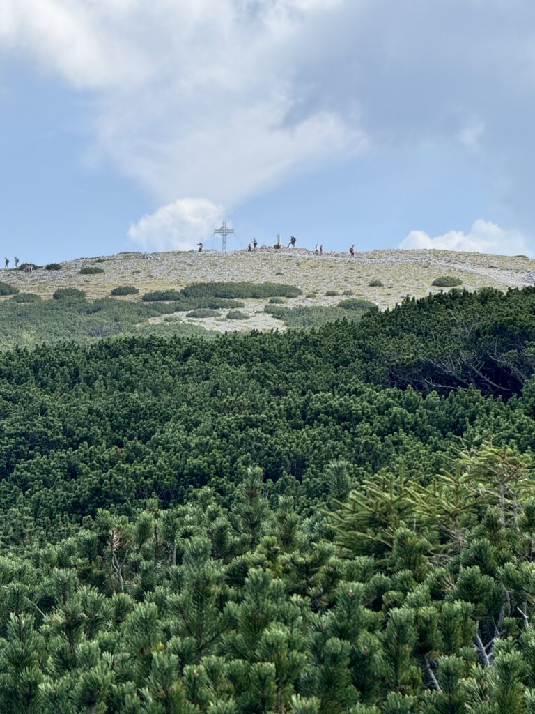 Hikers on a ridge above dense trees on Rax Mountain near Vienna, Austria