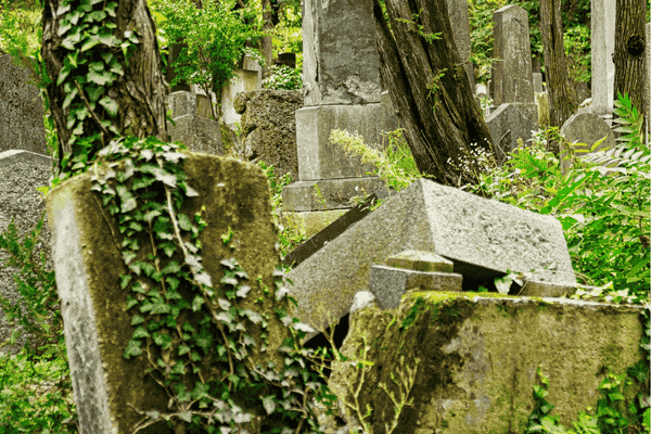 The Jewish Cemetery (Židovský hřbitov) in Brno, with overgrown ivy and ancient tombstones.