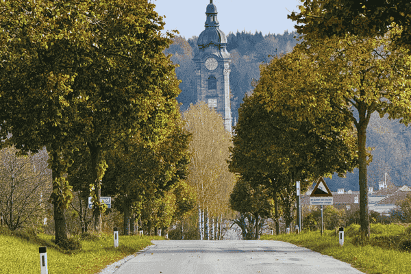 Tree-lined road leading to Zwettl Abbey's tower