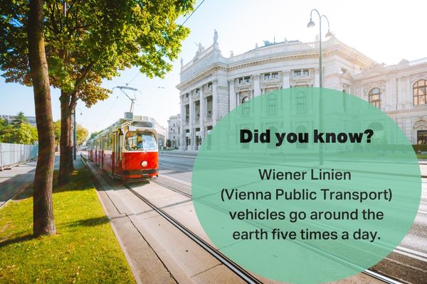 Red tram in Vienna passing by a historical building on a sunny day.