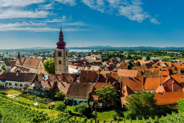 Panoramic view of Ptuj, Slovenia, featuring the iconic clock tower, historic buildings, and surrounding green landscape.