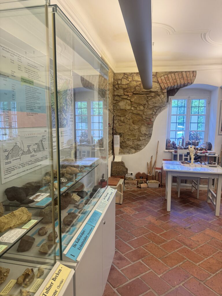 Geology exhibition at Vienna Woods Museum with rocks and fossils