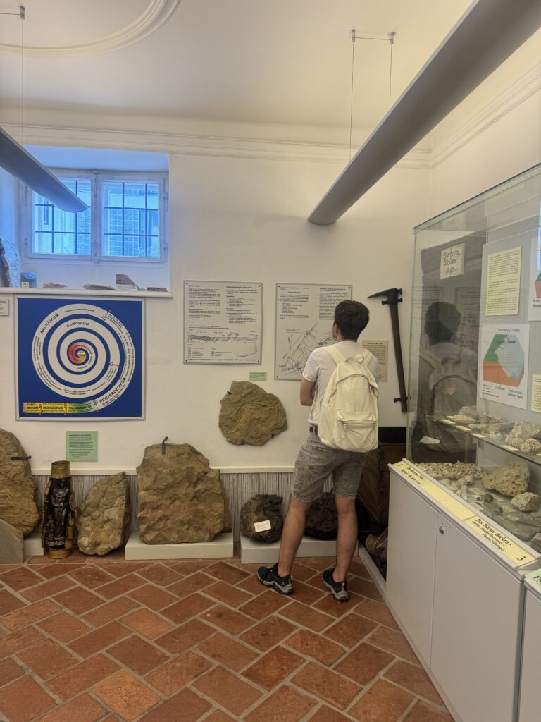 Visitor looking at geology displays in Vienna Woods Museum
