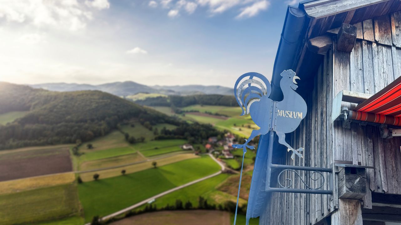 Vienna Woods Museum – A Hidden Gem Near Vienna